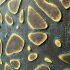 Acidic vs. Alkaline Copper Chloride Etching Solutions: A Comprehensive Comparison