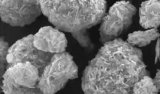 Nanopore Core Pore Molds: Preparation and Research